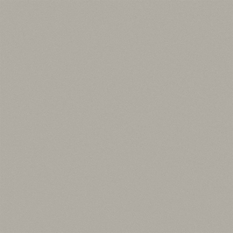 Carrelage couleur gris clair 20 x 20 cm D SEGNI SMOKE 0,96 m²