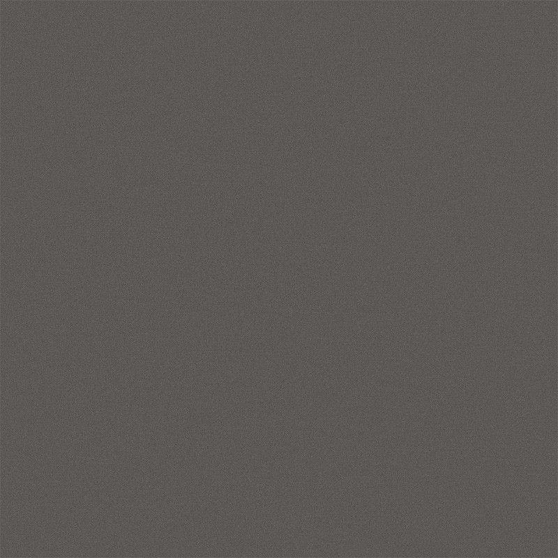 Carrelage couleur gris fonce 20 x 20 cm D SEGNI SHADOW 0,96 m²