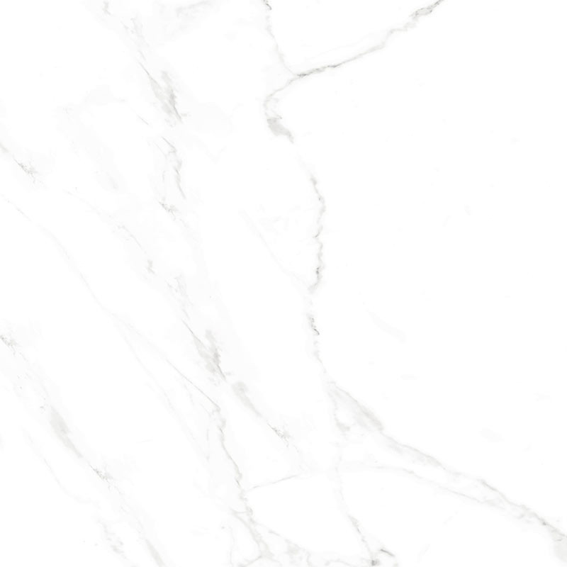 Carrelage effet marbre blanc et gris 60 x 60 cm NAOS BLANCO Mat