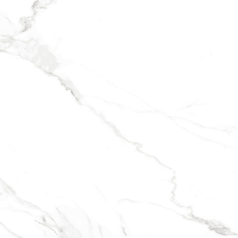 Carrelage effet marbre blanc et gris 60 x 60 cm NAOS BLANCO Brillant