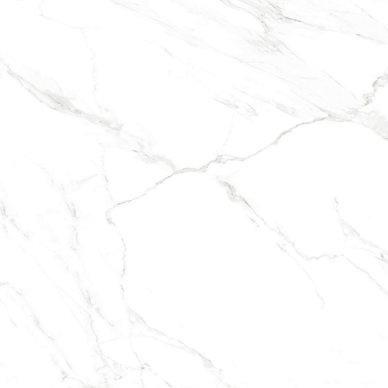 Carrelage effet marbre blanc et gris 120 x 120 cm NAOS BLANCO Mat