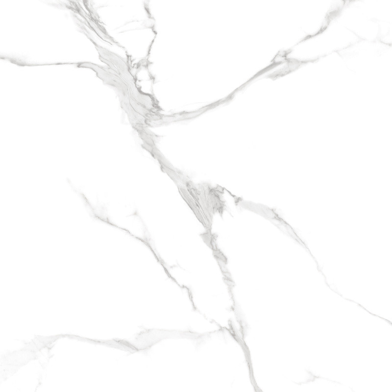 Carrelage effet marbre blanc et gris 120 x 120 cm Lenox SUPERWHITE Mat